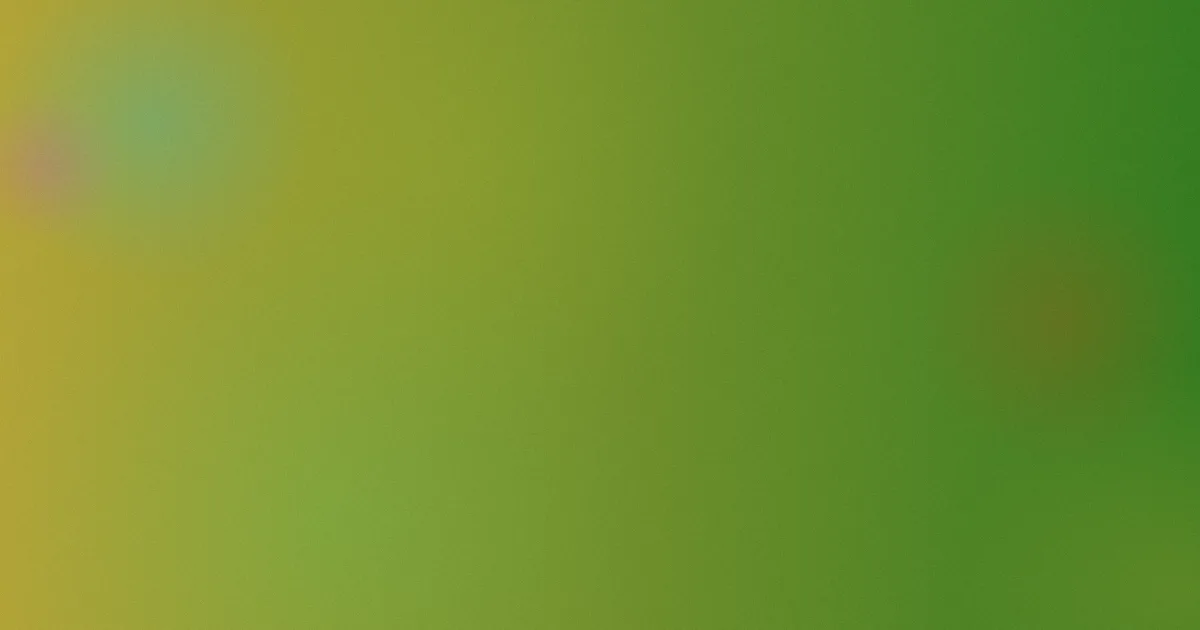 起义是什么？一文讲透
